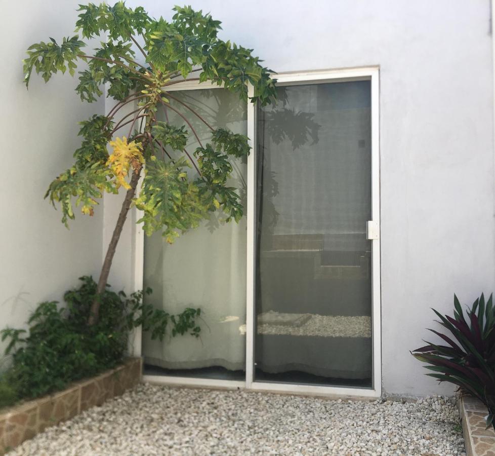 Green Lofts Cancun Bagian luar foto