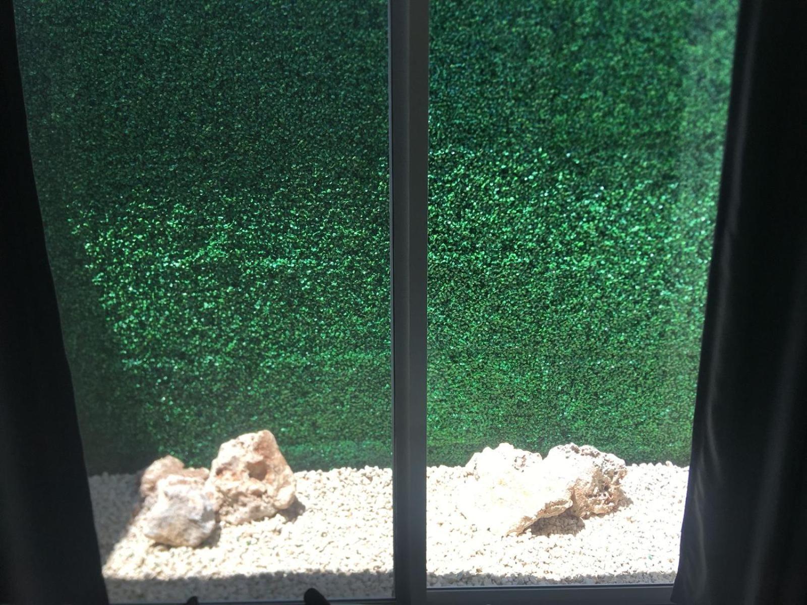 Green Lofts Cancun Bagian luar foto